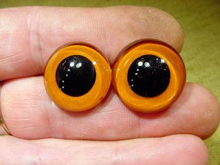 a pair vintage solid Glass Eyes size 22 mm teady bear taxidermy age 1910 Art A94 2