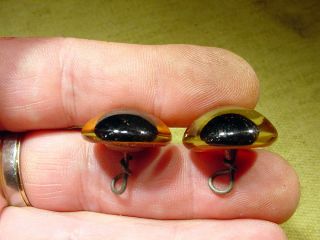 a pair vintage solid Glass Eyes size 22 mm teady bear taxidermy age 1910 Art A94 3