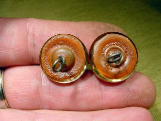 a pair vintage solid Glass Eyes size 22 mm teady bear taxidermy age 1910 Art A94 4