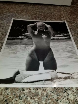 Vintage 8 X 10 Photograph From Irving Klaws Archives Of Mary Stavin 1