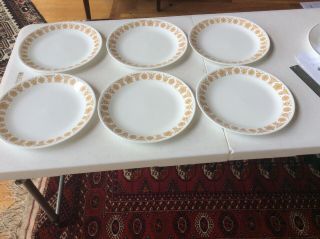 6 Vintage Corelle Gold Butterfly 10.  25 In.  Dinner Plates Corning