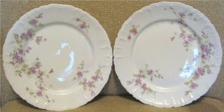 Vintage Habsburg China Austria 9222 Luncheon Plates W/purple Flowers 8 5/8 "