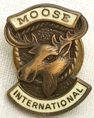 Vintage Moose International Membership Pin Brooch