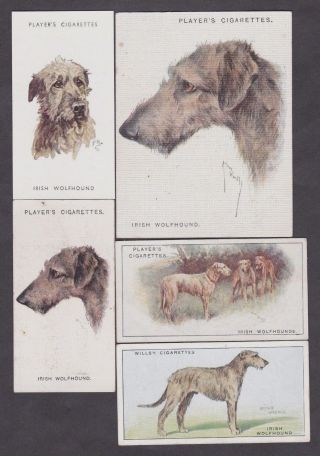 5 Different Vintage Irish Wolfhound Tobacco/cigarette Dog Cards