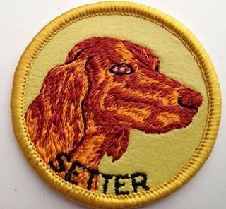 Vintage Irish Setter Dog Embroidered Sew - On Patch 1970s Made In Usa Nos