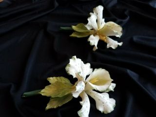 3 Vintage Italian Handmade Porcelain Figurine Flowers,  2 Orchids,  1 Dogwood