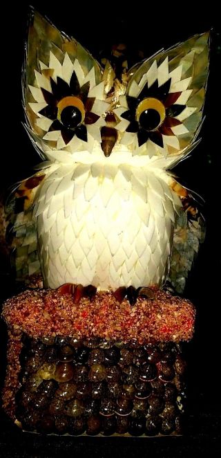 Vintage 8 " Owl Handcrafted With Shells