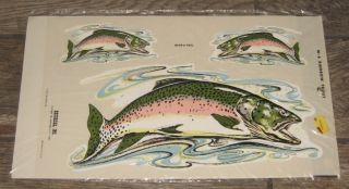 Vintage 1977 Rainbow Trout Decal By Decorcal Seaford,  York