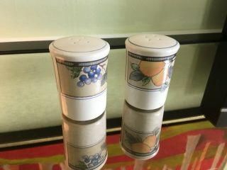Vintage Mikasa Garden Harvest Salt And Pepper Shakers