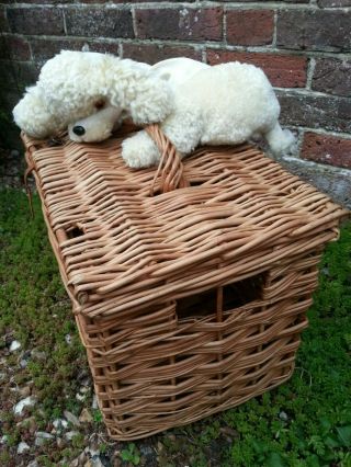 Vintage Wicker Basket Animal Carrier With Handle - Dog Cat Poultry Shop Display