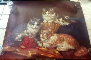 16 X 20 Vintage Florence Kroger Cat Print