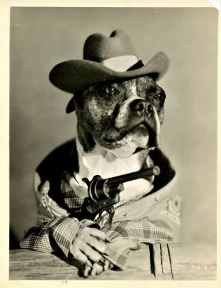Vintage Photograph - Anthropomortic Dog - Gun Slinger