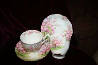 Vintage Set Of 2 Royal Albert Bone China England Blossom Time Tea Cup & Saucer