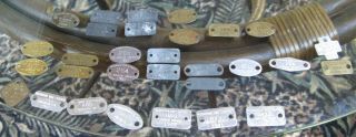 29 Vintage Dog Tags Licenses 1944 To 1972 Branch & St Joseph Counties Michigan