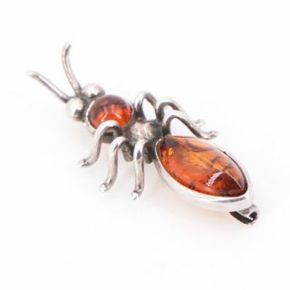 Vtg Sterling Silver - Poland Baltic Amber Insect Bug Brooch Pin - 2.  5g
