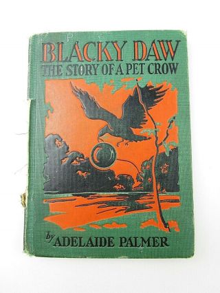 Vintage Blacky Daw The Story Of A Pet Crow 1930 By Adelaide Palmer Hardback 7a