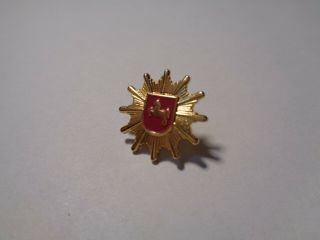 Vintage Gold Tone Lapel Pin W/horse,  Red Shield Coat Of Arms Crest =