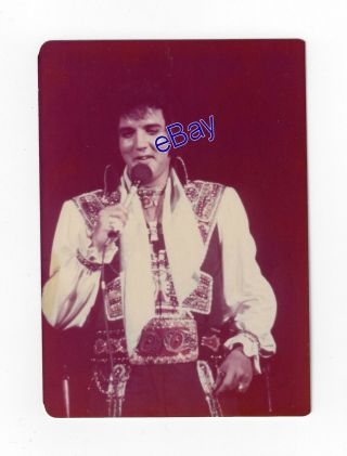 Elvis Presley Kodak Concert Photo Gypsy King 1975 - Jim Curtin Vintage