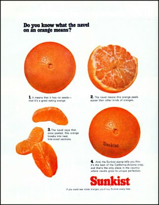 1966 Sunkist Naval Oranges Fruit California - Arizona Vintage Photo Print Ad Adl68