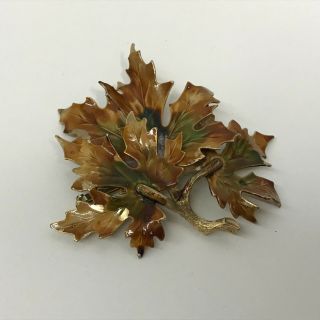 Vintage Weiss Fall Leaf Pin Very Large Enamel Brown & Green Tones