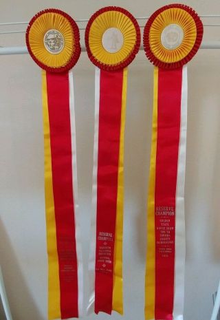 Vtg.  3 California Horse Show Ribbons Reserve Champions 38 " Long (1)