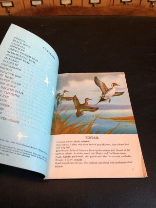 Duck Hunter ' s Hand Book Wild Fowl Identification 1960 2