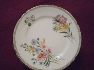 Vintage Shelley 6 " Bread Plate " Wild Flowers " 13686 Bone China England