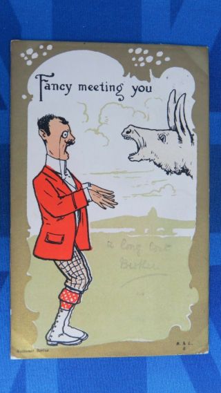 Vintage Comic Postcard 1908 Donkey Ass Fancy Meeting You