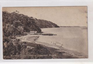 Vintage Postcard Kalimna Lakes Entrance Gippsland Victoria 1900s