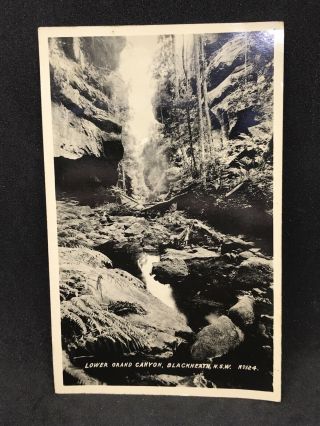 Vintage Real Photo Postcard Lower Grand Canyon,  Blackheath,  Nsw No 124