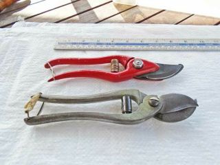 Vintage 8 " Alloy Handled & 8 " Forged Steel Secateurs Both In Gwo Vgc Old Tool