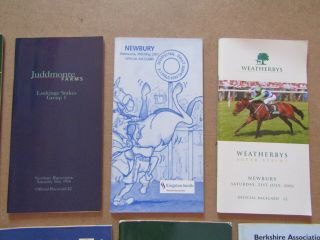 10 x Vintage Newbury Horse Racing Programmes / Racecards from the 2000s 3