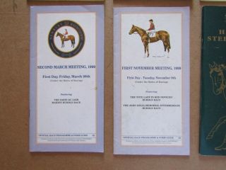 10 x Vintage Newbury Horse Racing Programmes / Racecards from the 1990s/00s 4