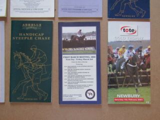 10 x Vintage Newbury Horse Racing Programmes / Racecards from the 1990s/00s 5