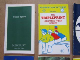 10 x Vintage Newbury Horse Racing Programmes / Racecards from the 1990s c 2
