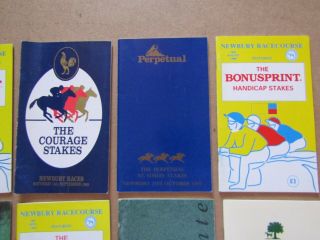 10 x Vintage Newbury Horse Racing Programmes / Racecards from the 1990s c 3
