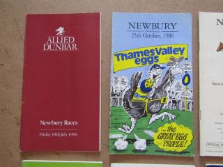 10 x Vintage Newbury Horse Racing Programmes / Racecards from the 1980s b 2