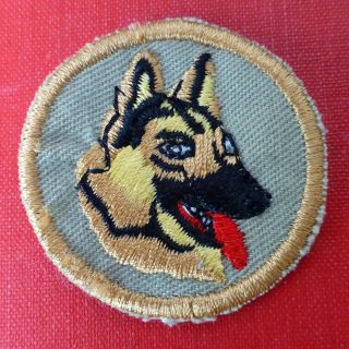 South African Police Sap K9 Dog Handlers Alsatian Vintage Olive Camo Badge