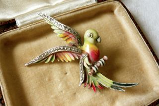 Vintage Jewellery Enamel Marcasite Parrot Tropical Bird Brooch Pin