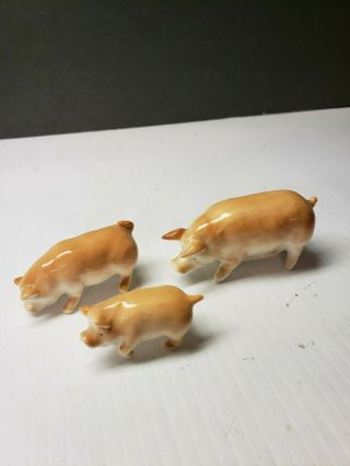 Vintage Set Of 3 Bone China Pigs Figurines