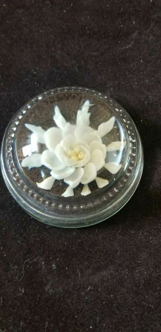 Vintage Round Glass Sea Shell Flower Paperweight