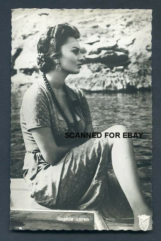 Sophia Loren Glamour Vintage European Series 1950s Photo Postcard