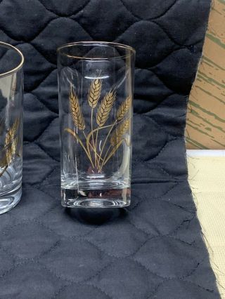 Vintage Libbey Wheat 5 1/2” Gold Rimmed Drinking Glasses Set Of 4