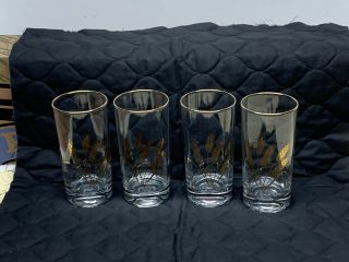 Vintage Libbey Wheat 5 1/2” Gold Rimmed Drinking Glasses Set Of 4 3