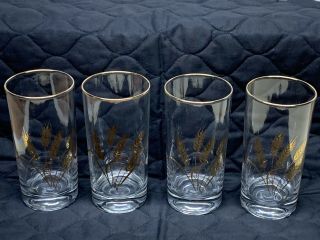 Vintage Libbey Wheat 5 1/2” Gold Rimmed Drinking Glasses Set Of 4 4