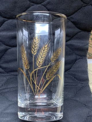 Vintage Libbey Wheat 5 1/2” Gold Rimmed Drinking Glasses Set Of 4 5