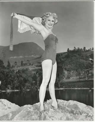 Mamie Van Doren 9x7 Vintage Still Sexy Pin Up More Than Marilyn Portrait