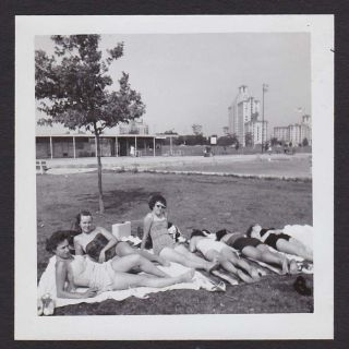 Sunbathing Sexy Swimsuits Legs City/town Park Old/vintage Photo Snapshot - F117