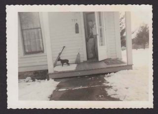 Cute Profile Boston Terrier? Puppy On Porch Old/vintage Photo Snapshot - F78