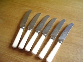 Set Of 6 Vintage Faux Bone Handled Dessert Knives –warranted Stainless Sheffield